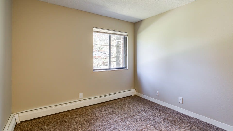 Sam Neill visual data 7